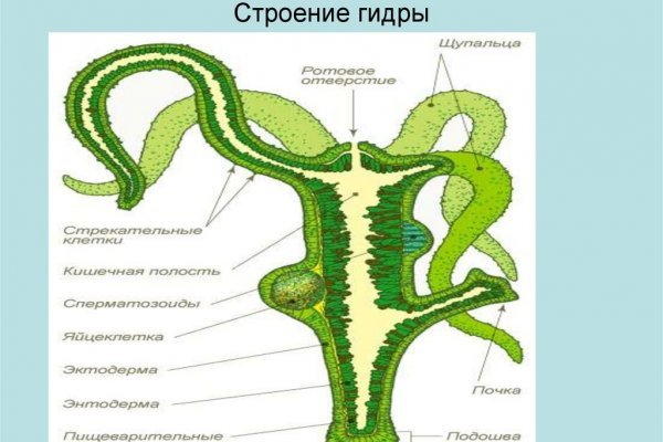 Кракен это что за сайт